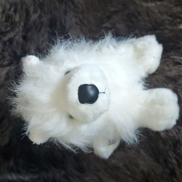 GANZ WEBKINZ RETIRED ADOPT A PET SAMOYED - Picture 9 of 9